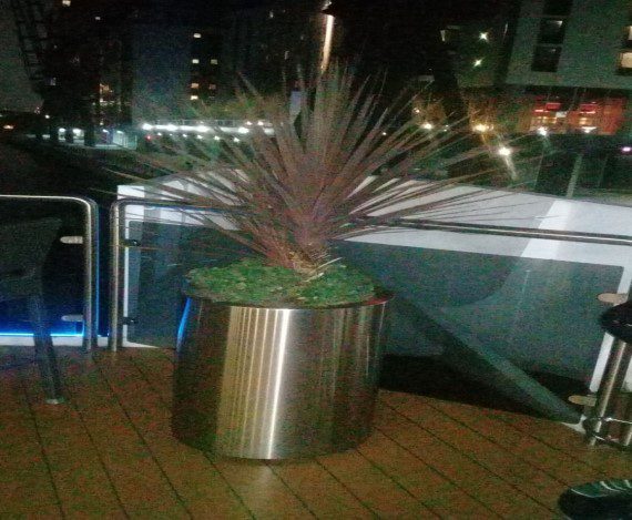 570X469 PLANT